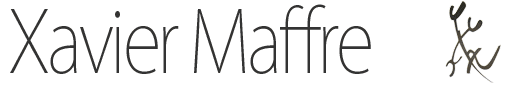 Xavier Maffre